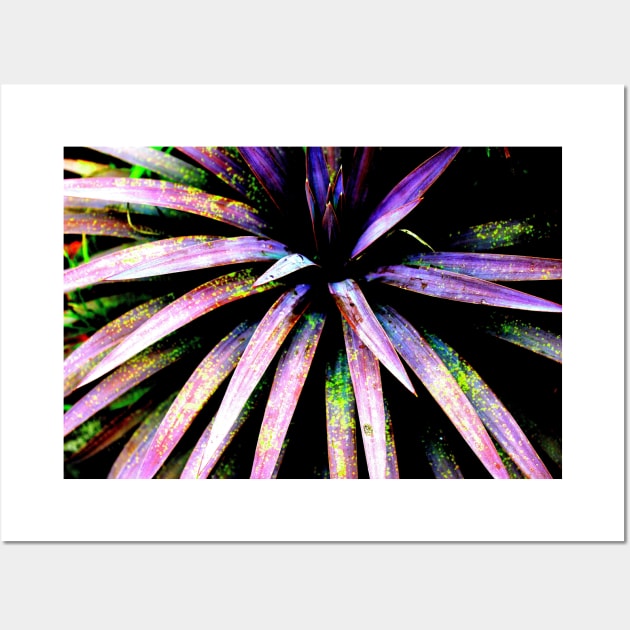 Cordyline art Wall Art by CazDPhotos